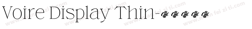 Voire Display Thin字体转换